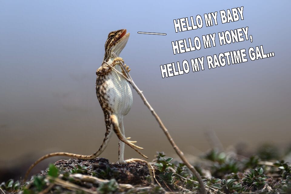 Please enter a title for your meme.