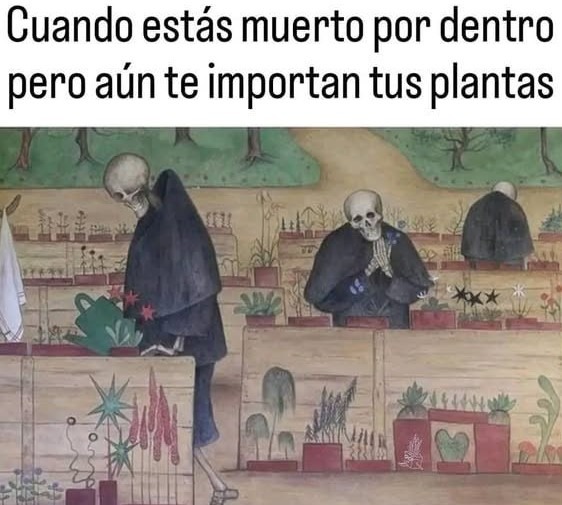 Muerto pero cuidando de las plantas - meme