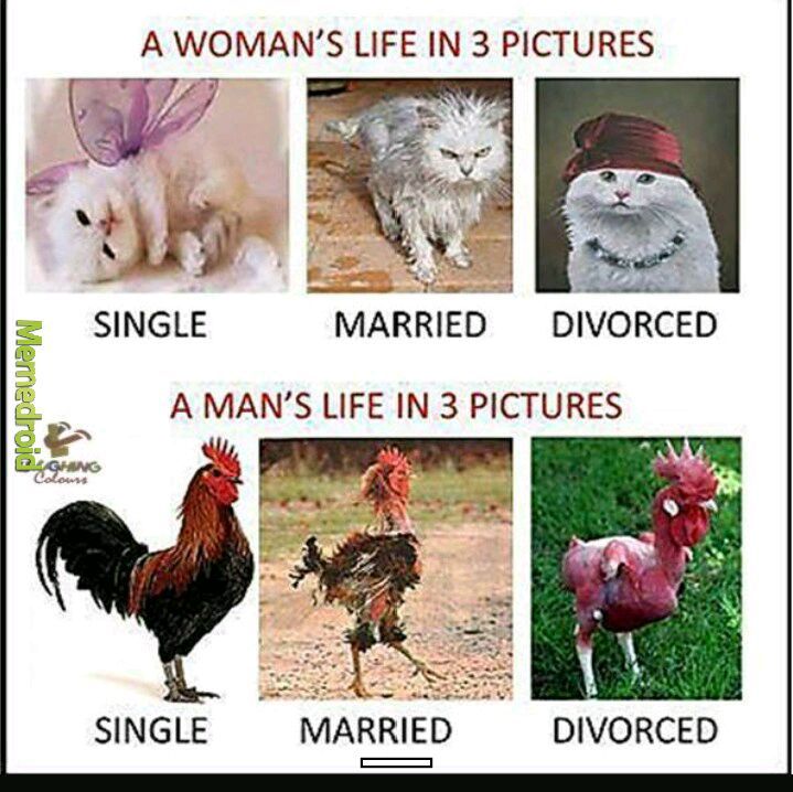 Single vs. Married - meme