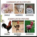 Single vs. Married