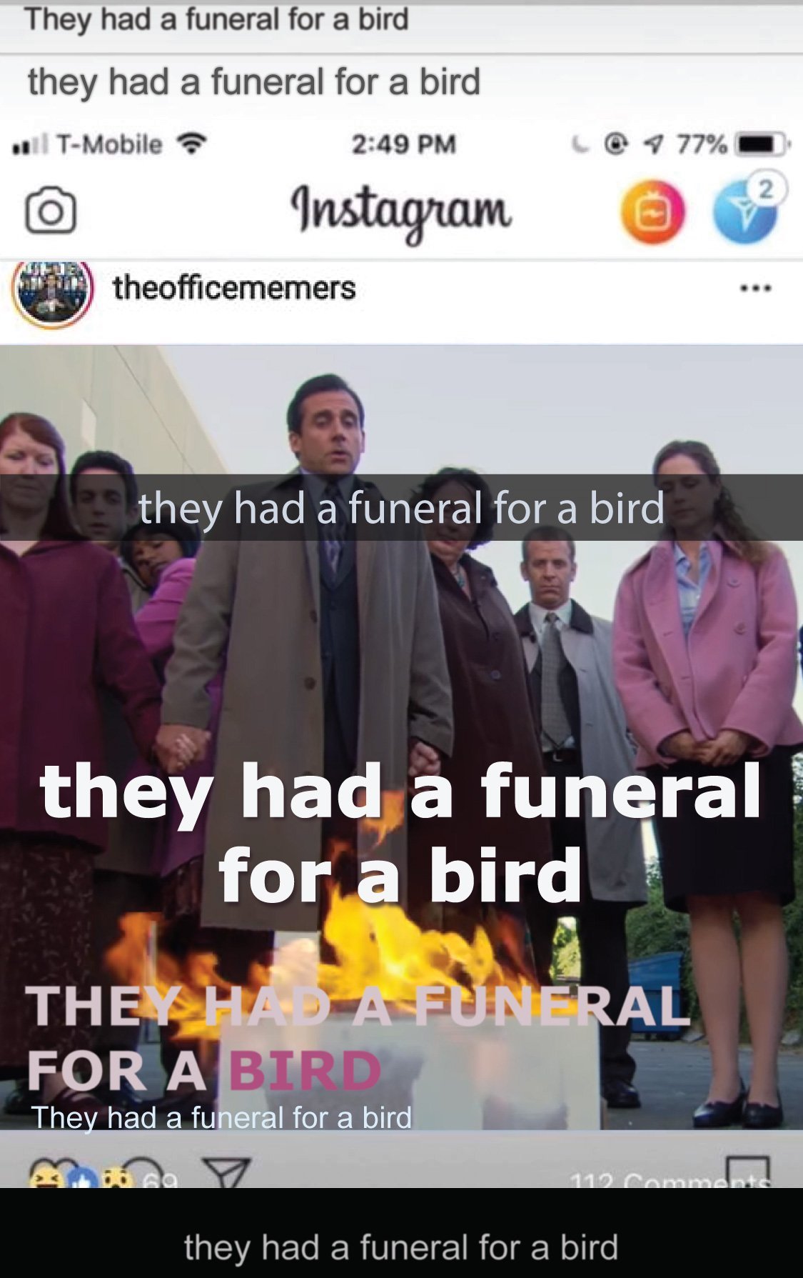 They had a funeral for a bird - meme