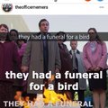 They had a funeral for a bird
