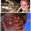 that poor alligator