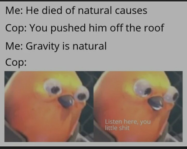 Gravity is natural - meme