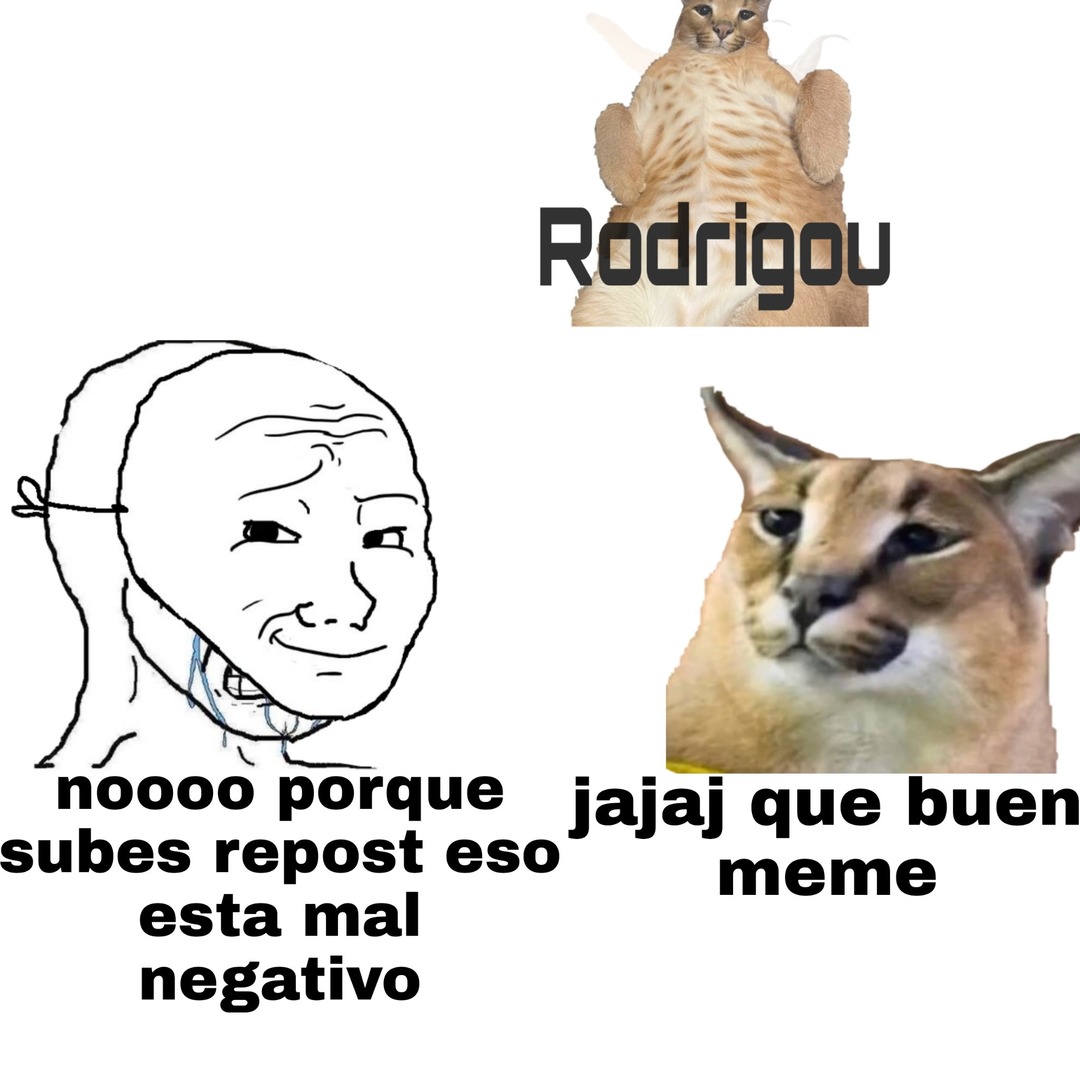 Top memes de Floppa en español :) Memedroid