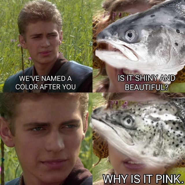 Pink - meme