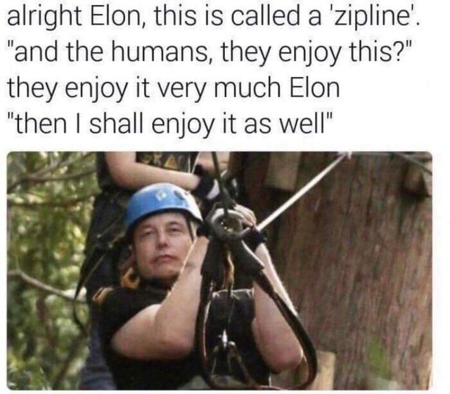 Alright Elon, this is called a zipline - meme