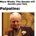 the senate