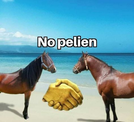 No Pelien  - meme