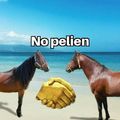 No Pelien 