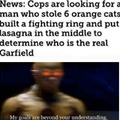 GARFIELD FIGHT
