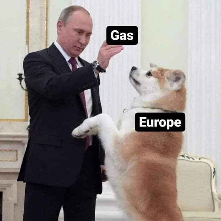 Putin rules - meme