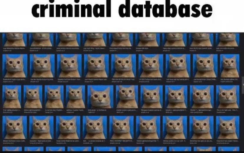criminal database - meme