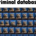 criminal database