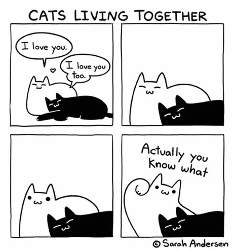 Cats living together - meme