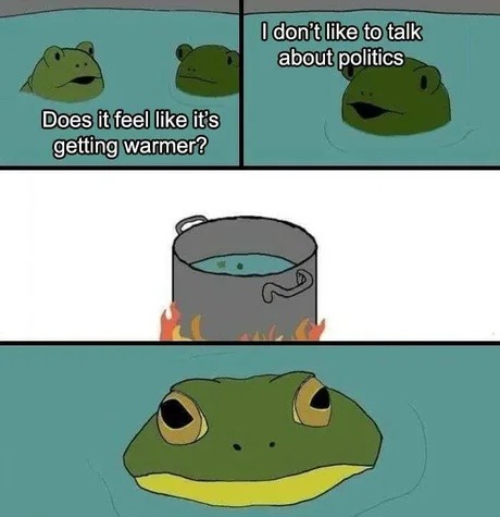 I don’t talk politics but the sun’s beefing with us - meme