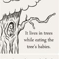 Tree babies