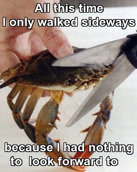 Crab feels - meme