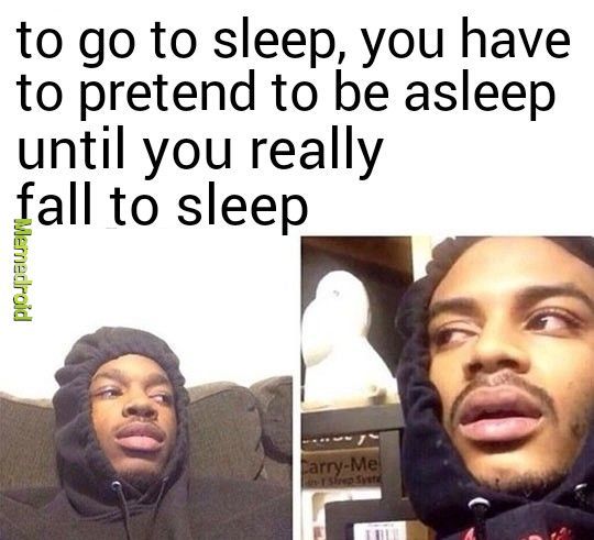 enjoy thinking about sleeping while pretending to sleep to get to sleep - meme