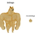 biólogo vs microbiólogo