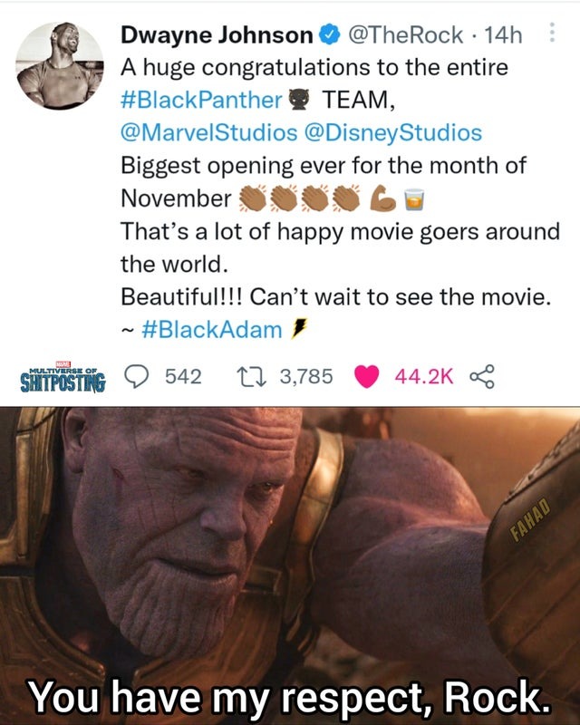 The Rock and Black Panther 2 - meme
