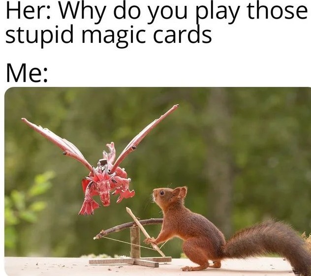 When she asks you , why you play Magic the gathering - meme