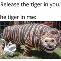 Tiger is strugglin