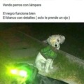 Perros con lámpara