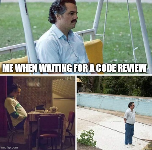 Waiting for a code review - meme