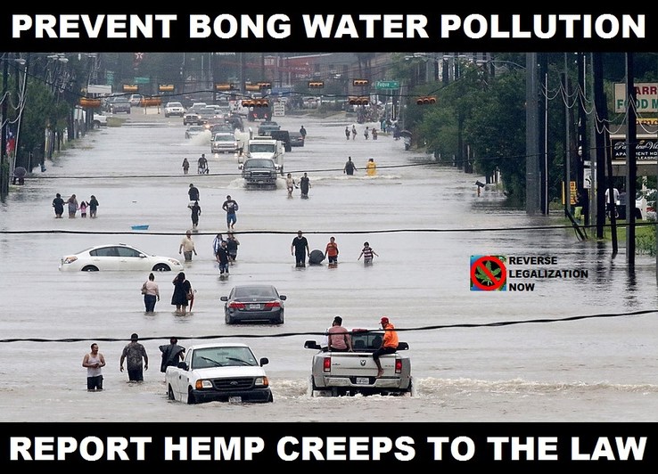 Bong Water Pollution - meme