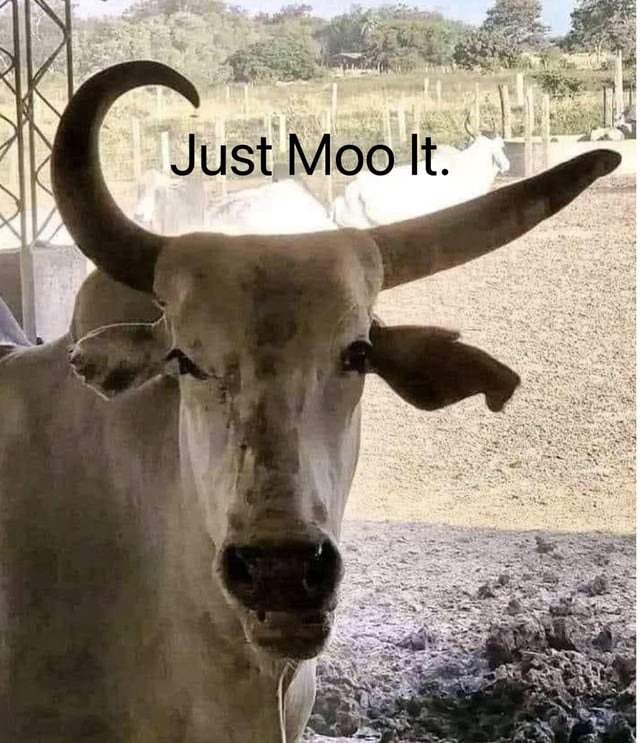 Just Moo It - meme