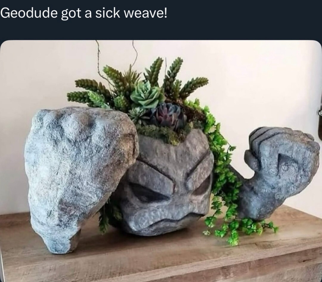 Geodude just joined a 2000s punk band - meme