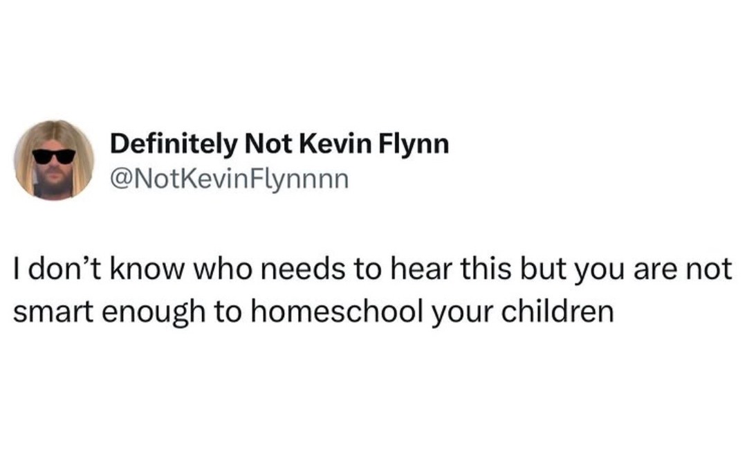 Not to be rude but you're not qualified to homeschool anyone - meme