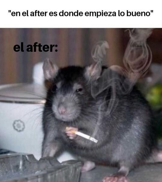Dicen que en el after empieza lo bueno… pero el after era esto - meme
