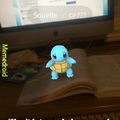 squirtle gtfo