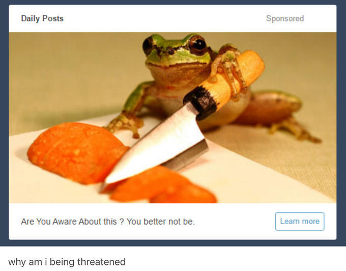 Tumblr has some very strange ads - meme