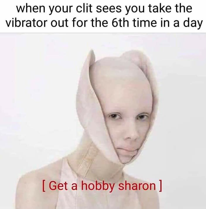 Damn it Sharon! - meme