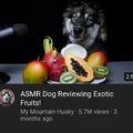 my kind of content also there’s a lot more videos like this