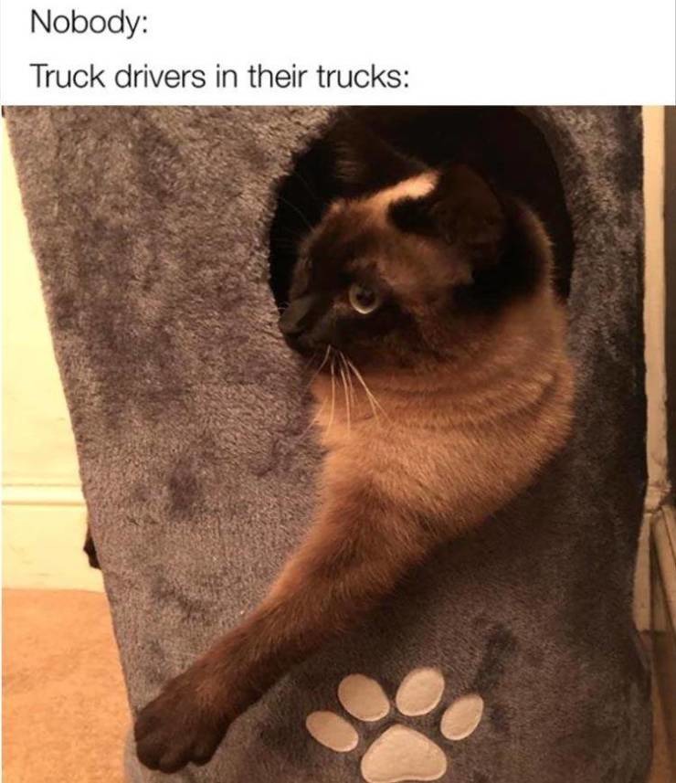 Truck drivers - meme