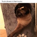 Truck drivers