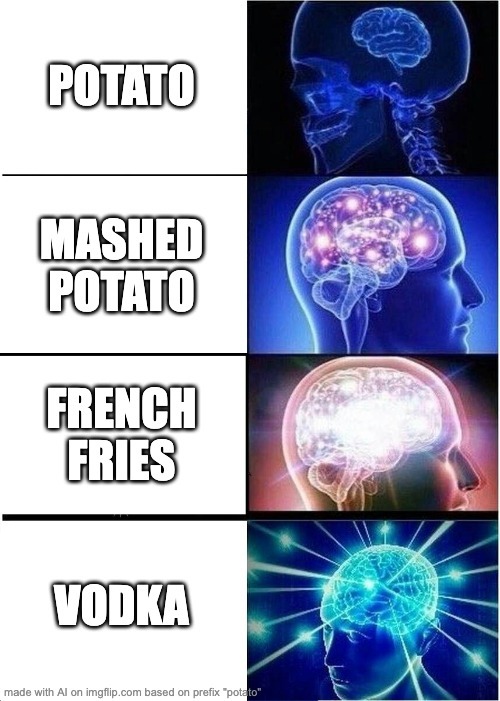Did you know you can use potato in so many different ways? Even as a space shuttle! - meme