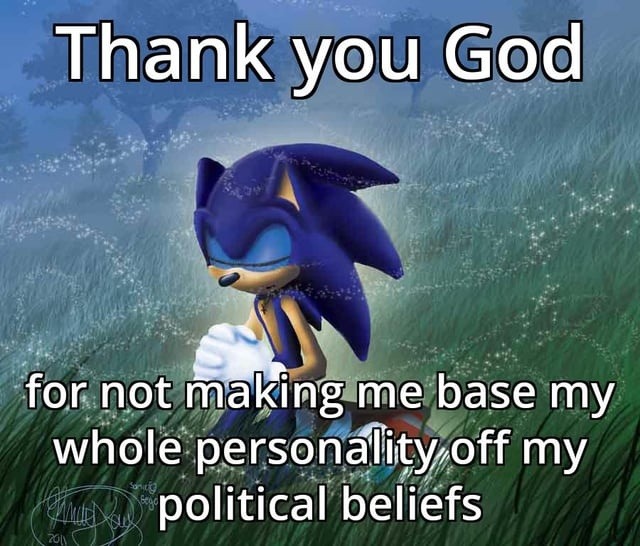 Grateful I didn’t turn my entire personality into a political flag - meme
