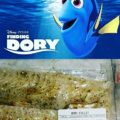 RIP in peace Dory