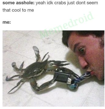 More crab memes