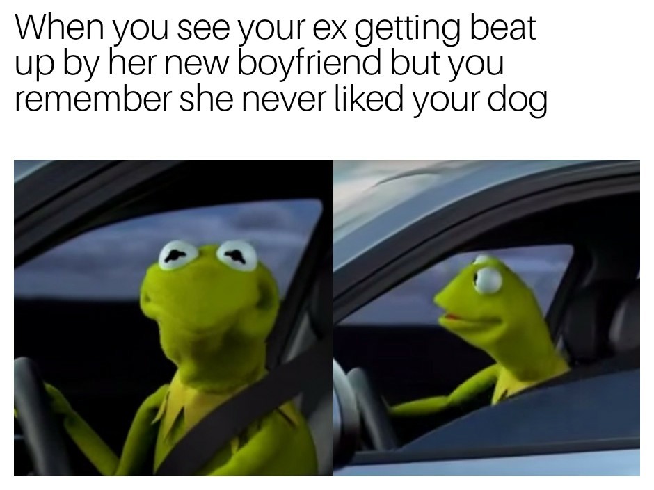 You don't like your dog I don't like you - meme