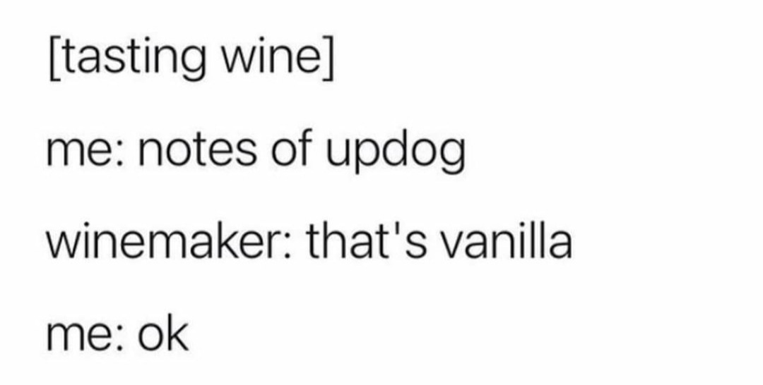 Updog=vanilla - meme