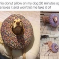 donut boy