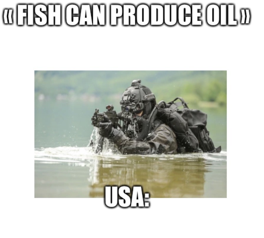Yo j’ai du faire ce meme en anglais car « oil » veut a la fois dire pétrole a la fois dire huile.Ici je l’utilise comme pétrole.