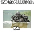 Yo j’ai du faire ce meme en anglais car « oil » veut a la fois dire pétrole a la fois dire huile.Ici je l’utilise comme pétrole.