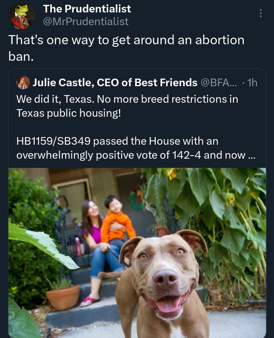 They outlaw abortion? No problem, just get a pit bull! - meme
